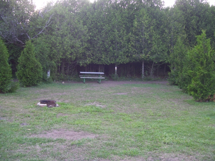Campsite 49